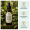 Lymphatic Support Liquid Drops | 21-in-1 Botanical Formula | 1 fl oz (30 mL)